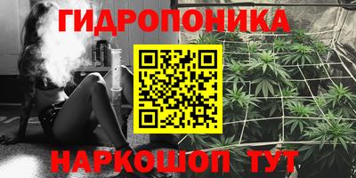 спайс Кунгур