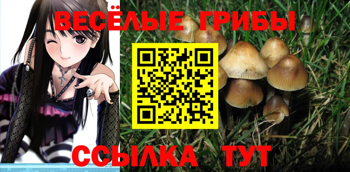 Псилоцибиновые грибы прущие грибы  Вход с VPN  Галлюциногенные грибы мухоморы  купить   Арсеньев 